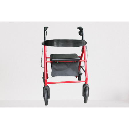 Poylin P580Y Ekonomik Rollatör
